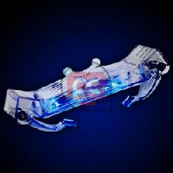 EverCool Neon Crab Memory Cooler