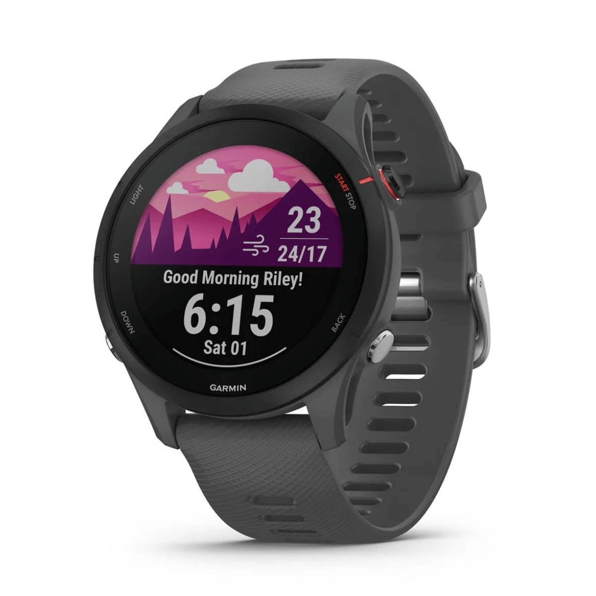 GARMIN FORERUNNER 255 46MM GPS SMARTWATCH GRIS (SLATE GRAY) | Wearables