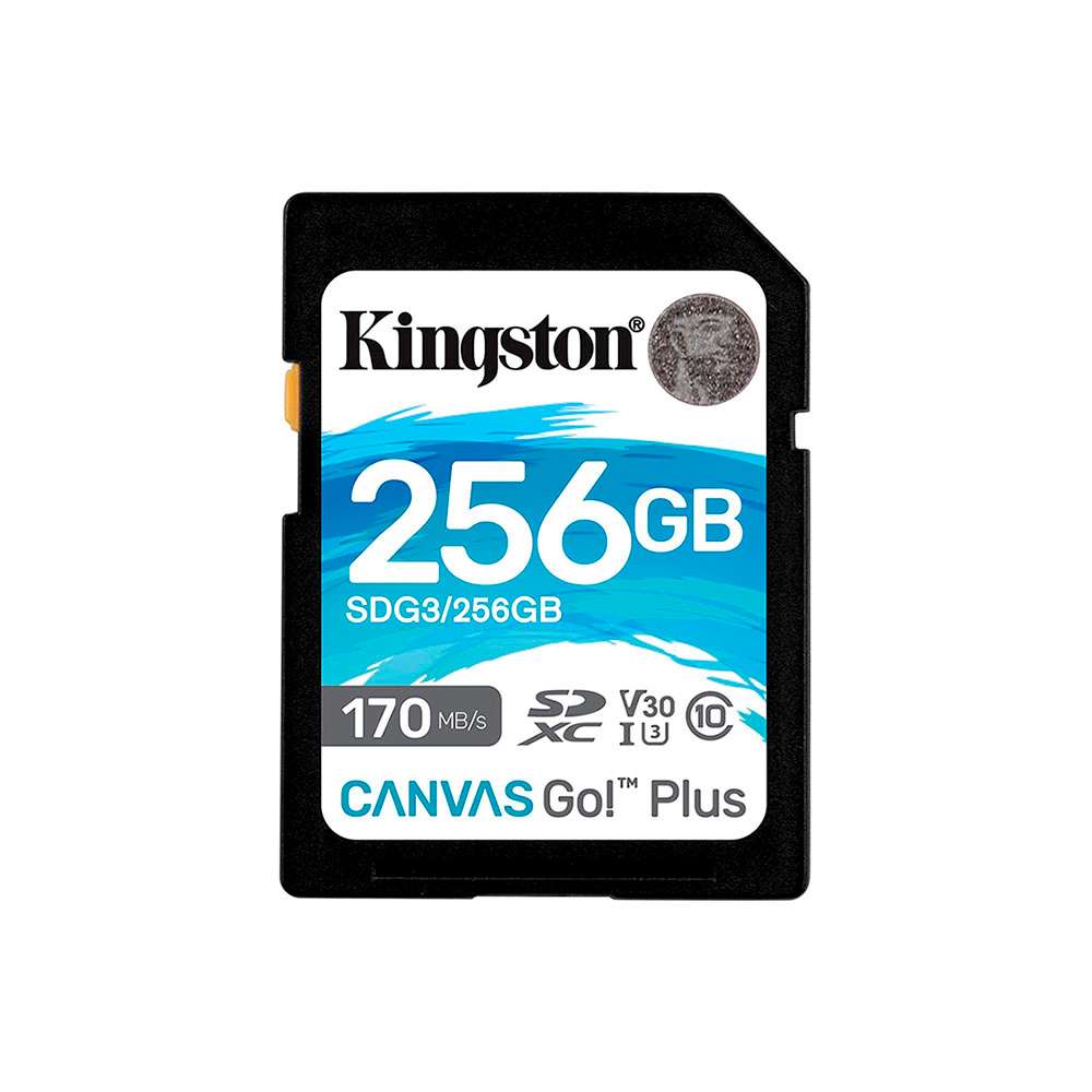 Kingston Canvas Go! Plus 256Gb SD UHS-I